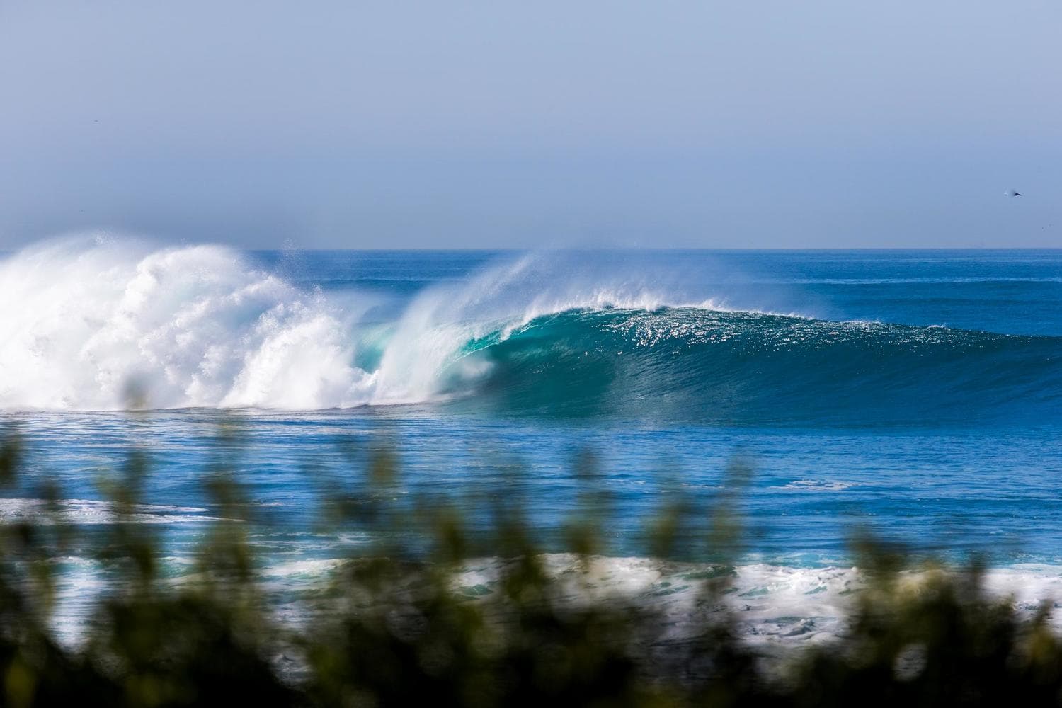 The Surfboard Rack